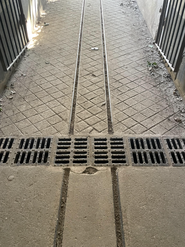 알빵 가든 (Jardin alpin)