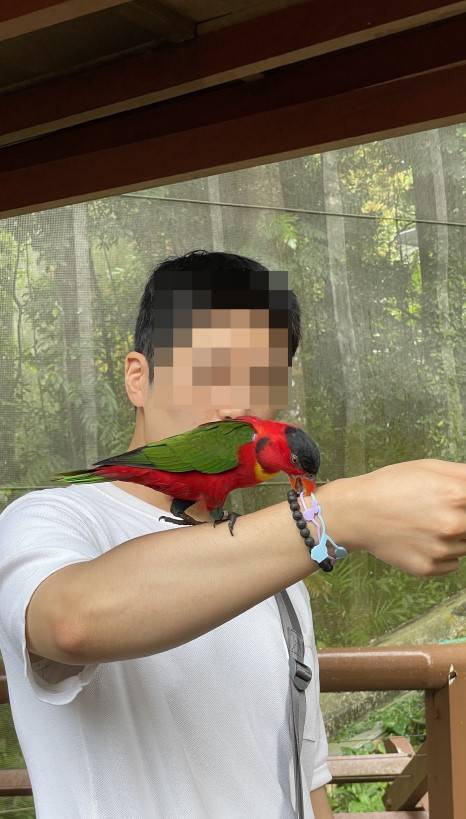 주롱 새 공원 Jurong Bird Park