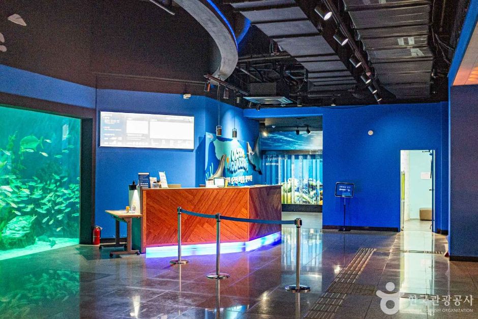 울진 가볼만한곳 베스트10