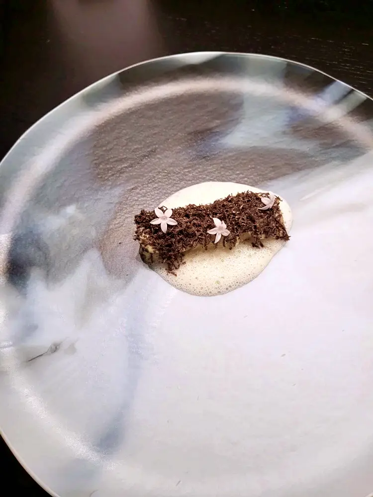 나혼자산다 나혼산 소식좌 산다라박 다라 한식 퓨전 파인다이닝 레스토랑 11품 코스 요리 맛집 청담동 압구정로데오역 맛집 가격 위치 어디
