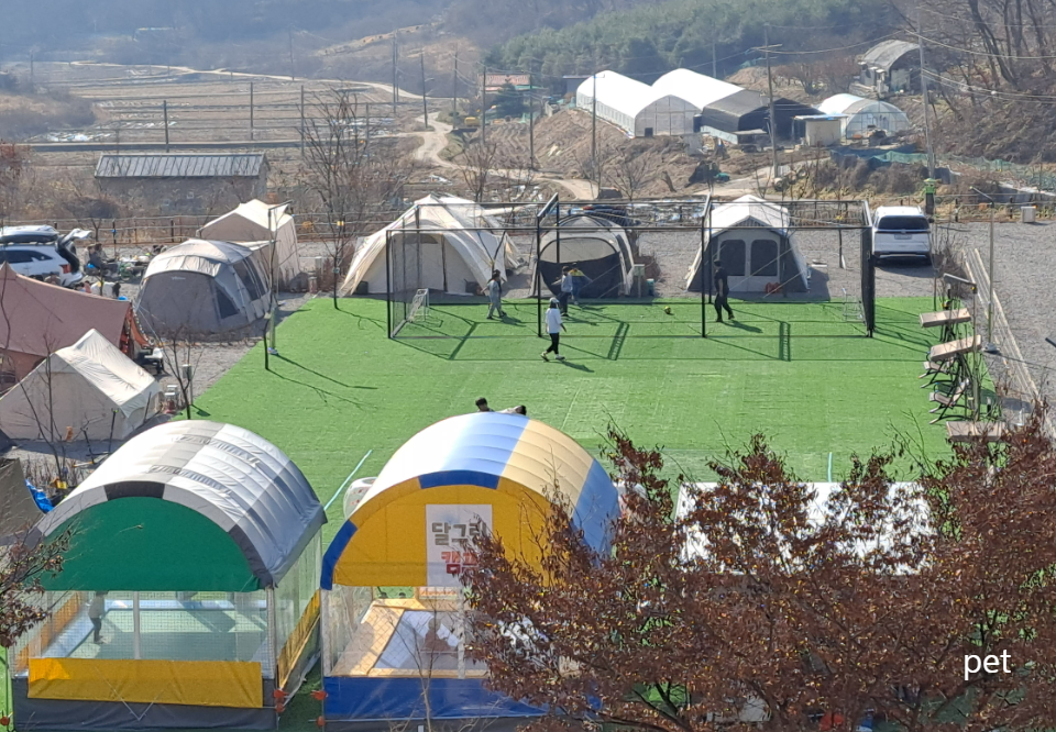 경기-연천-달그린-캠프-예약-방법-애견-동반-가격-주소-시간-후기