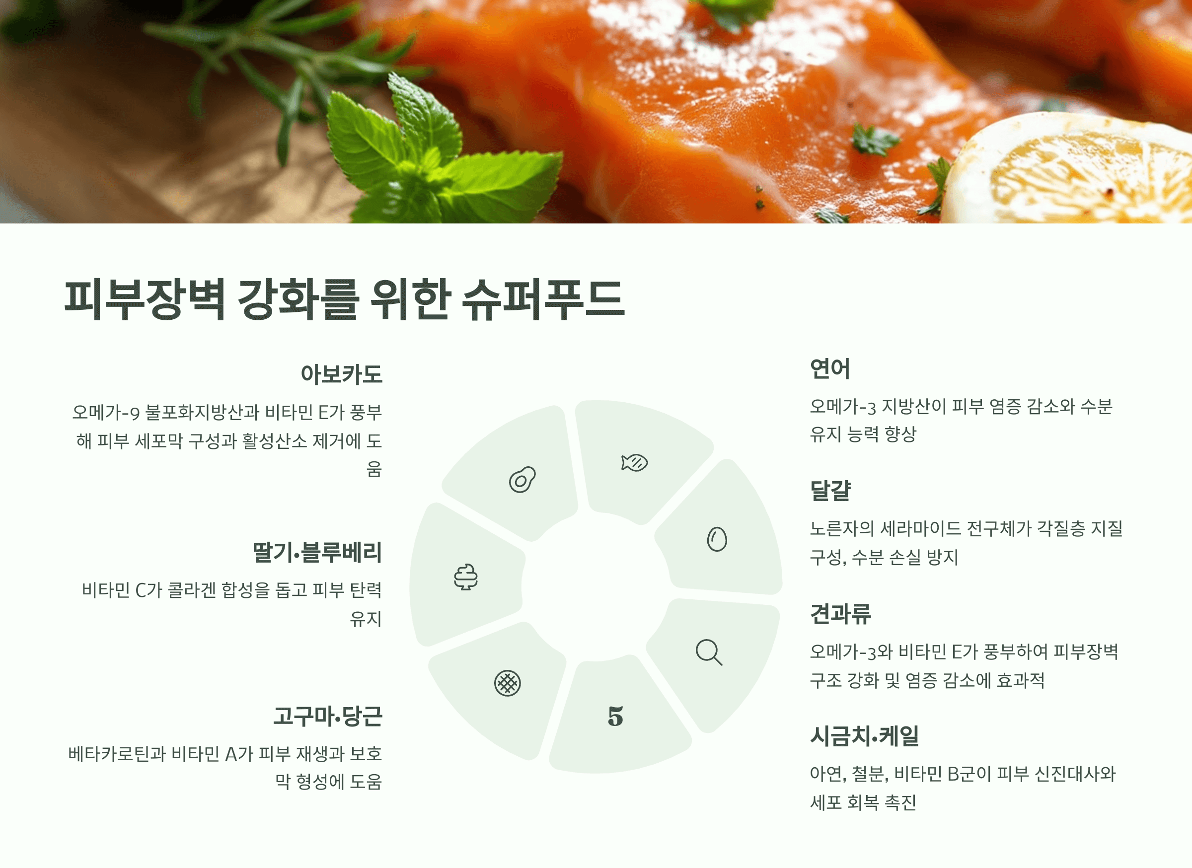 피부장벽을 강화시켜주는 음식