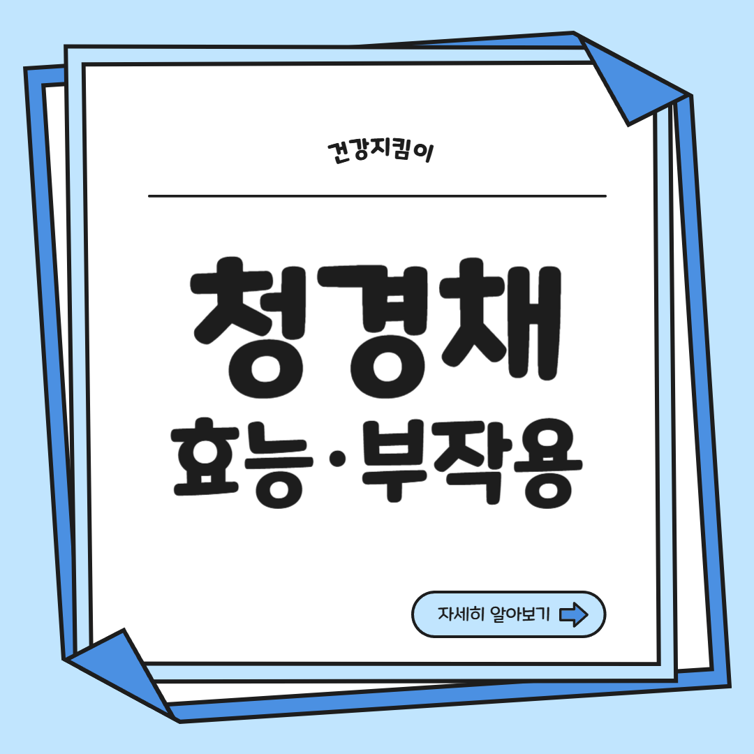 청경채 효능 부작용 고르는법 칼로리