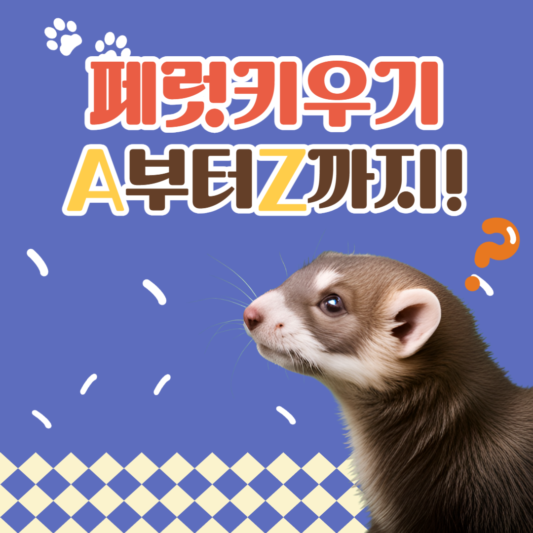 페럿키우기