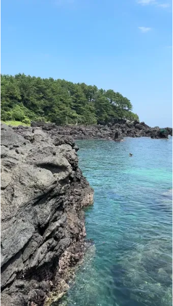 서귀포 가볼만한곳 베스트10 천지연폭포 정방폭포 야시장 산책_2