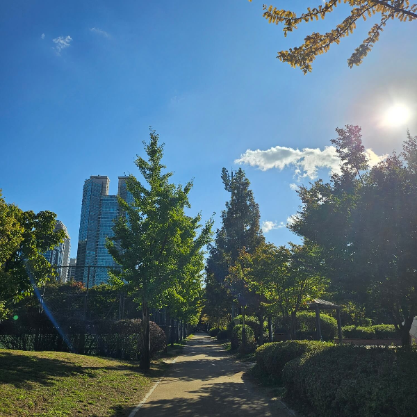 보라매공원-산책길