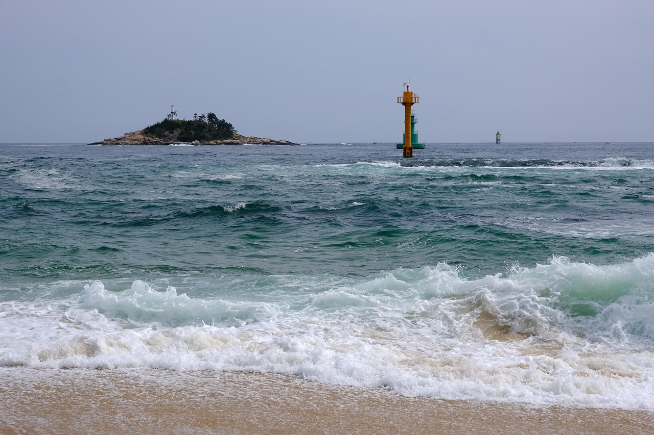 2026년 속초 부동산 정보 관련 사진