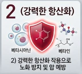 비트 효능