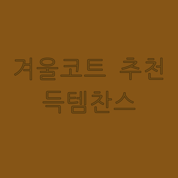 가성비 끝판왕! 겨울 코트 득템 찬스