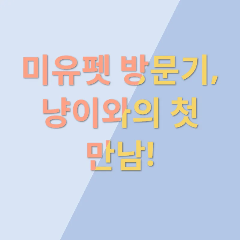 반려묘 입양기_2