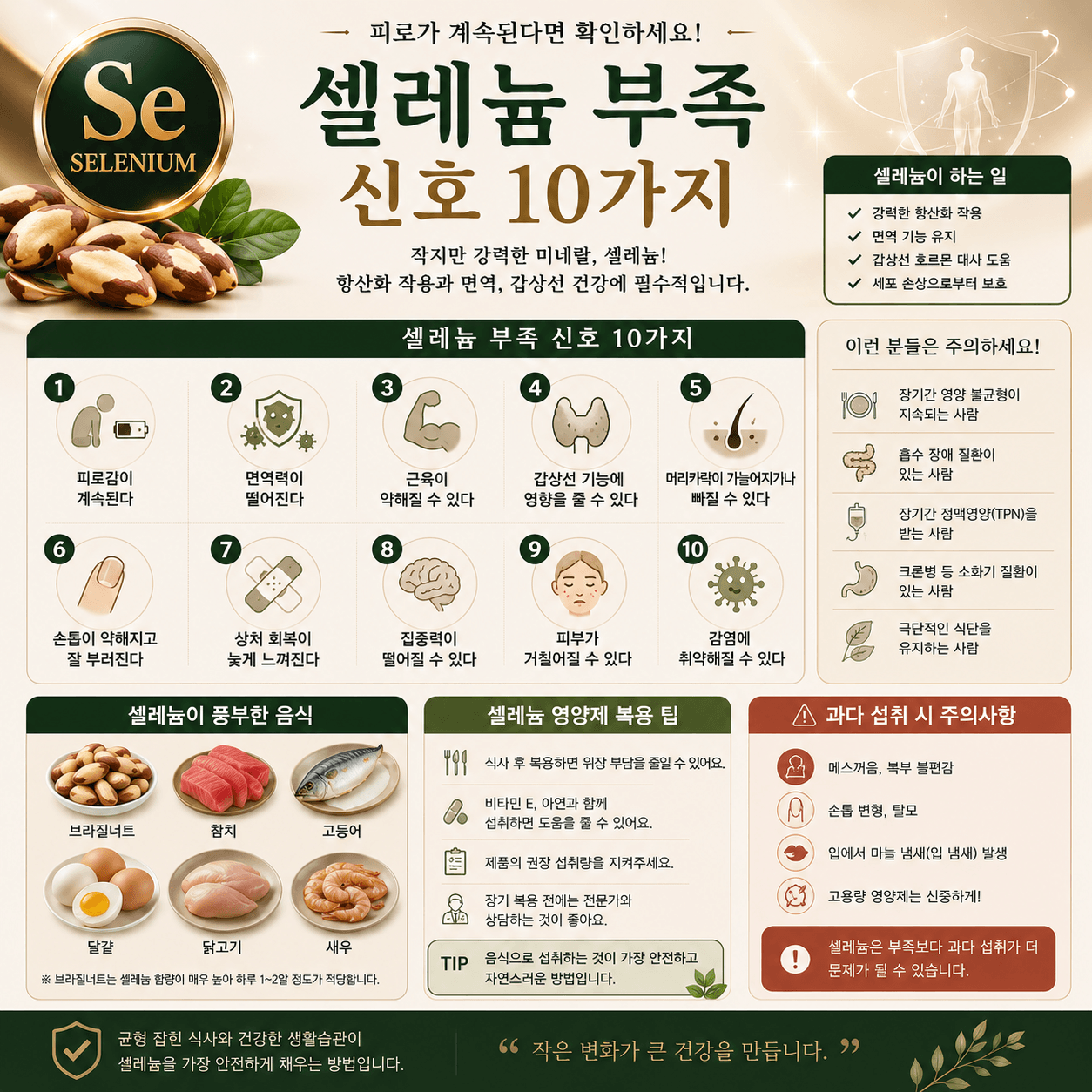 셀레늄 부족 증상과 셀레늄이 풍부한 음식, 올바른 섭취 방법을 보기 쉽게 정리한 인포그래픽