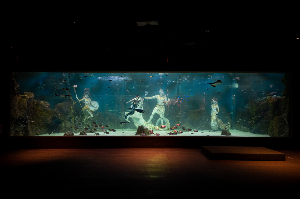 대전 엑스포 아쿠아리움