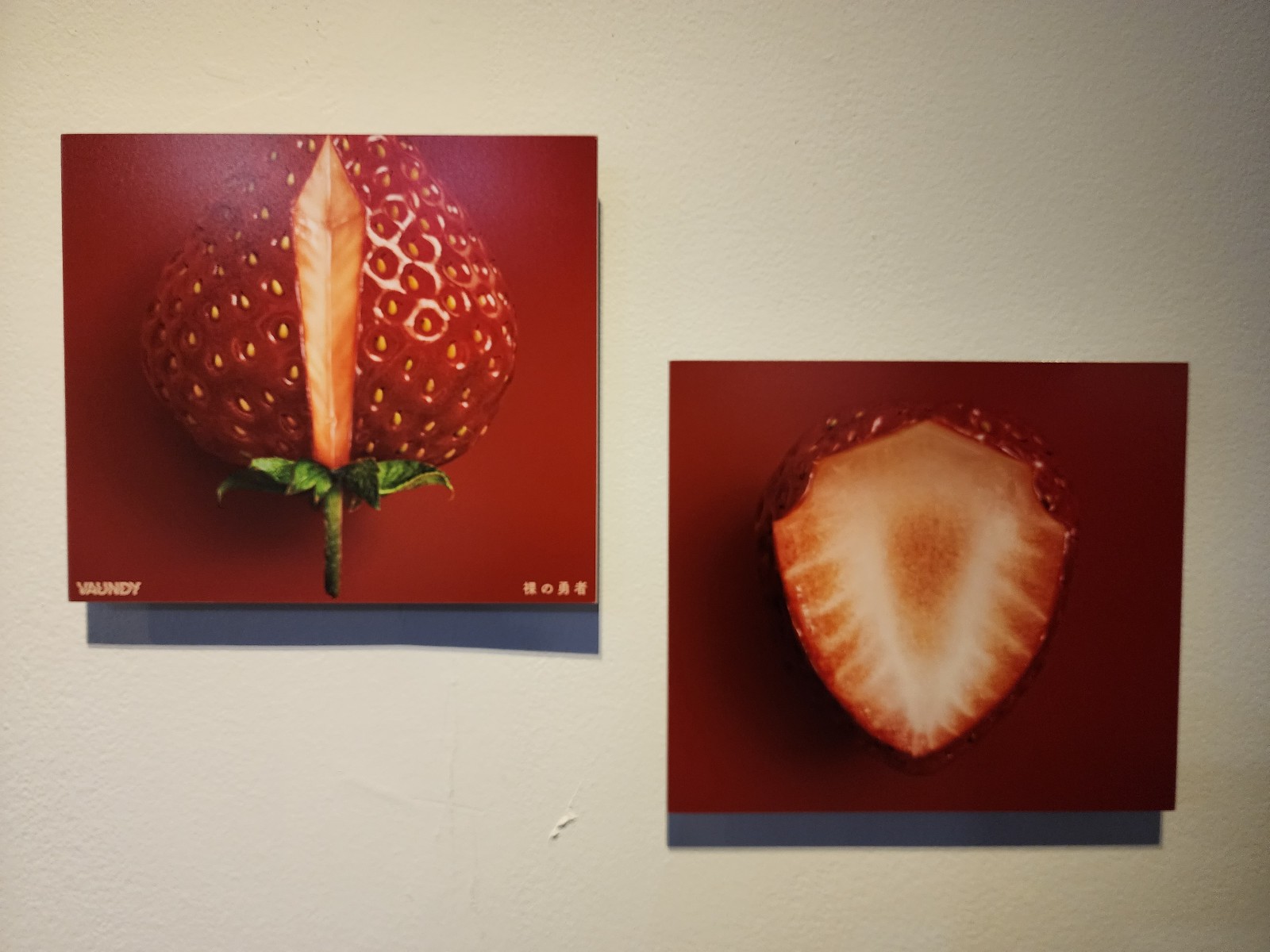 요시다 유니 작품