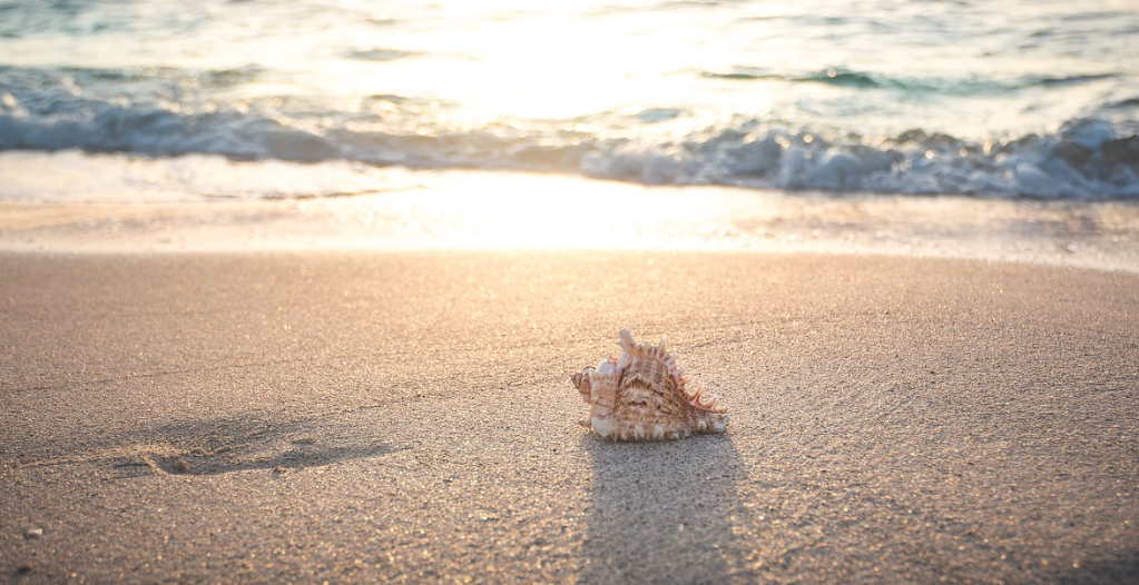 열대야 원인과 해법 (기온, 습도, 냉방관리)