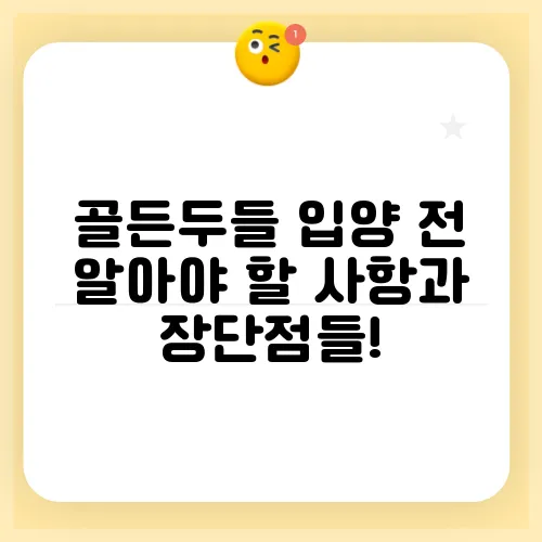 골든두들 입양 전 알아야 할 사항과 장단점들!