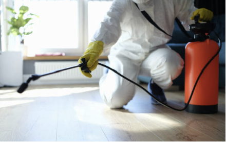 바퀴벌레 퇴치방법