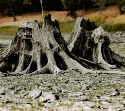 건조증 증상 피부 안구 코 구강 원인 치료법