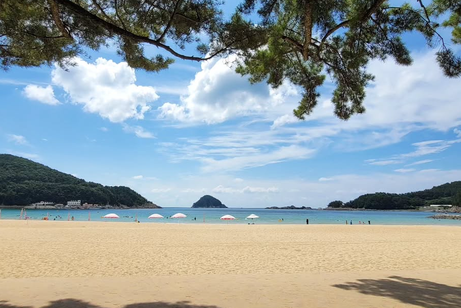 국내 해수욕장 개장일