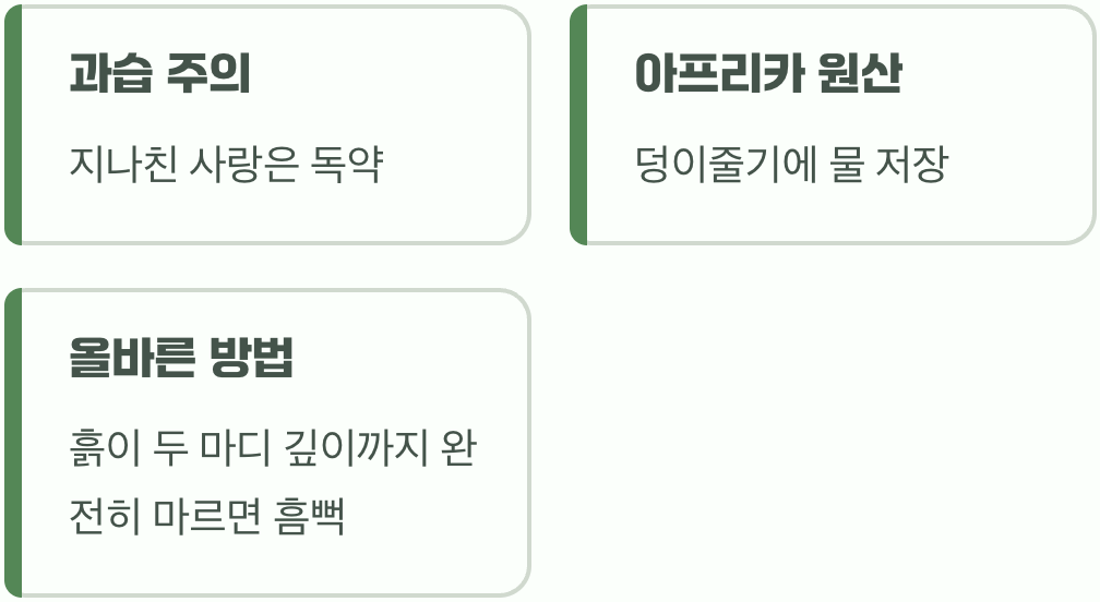 넘치는 사랑보다 무심한 듯한 관심