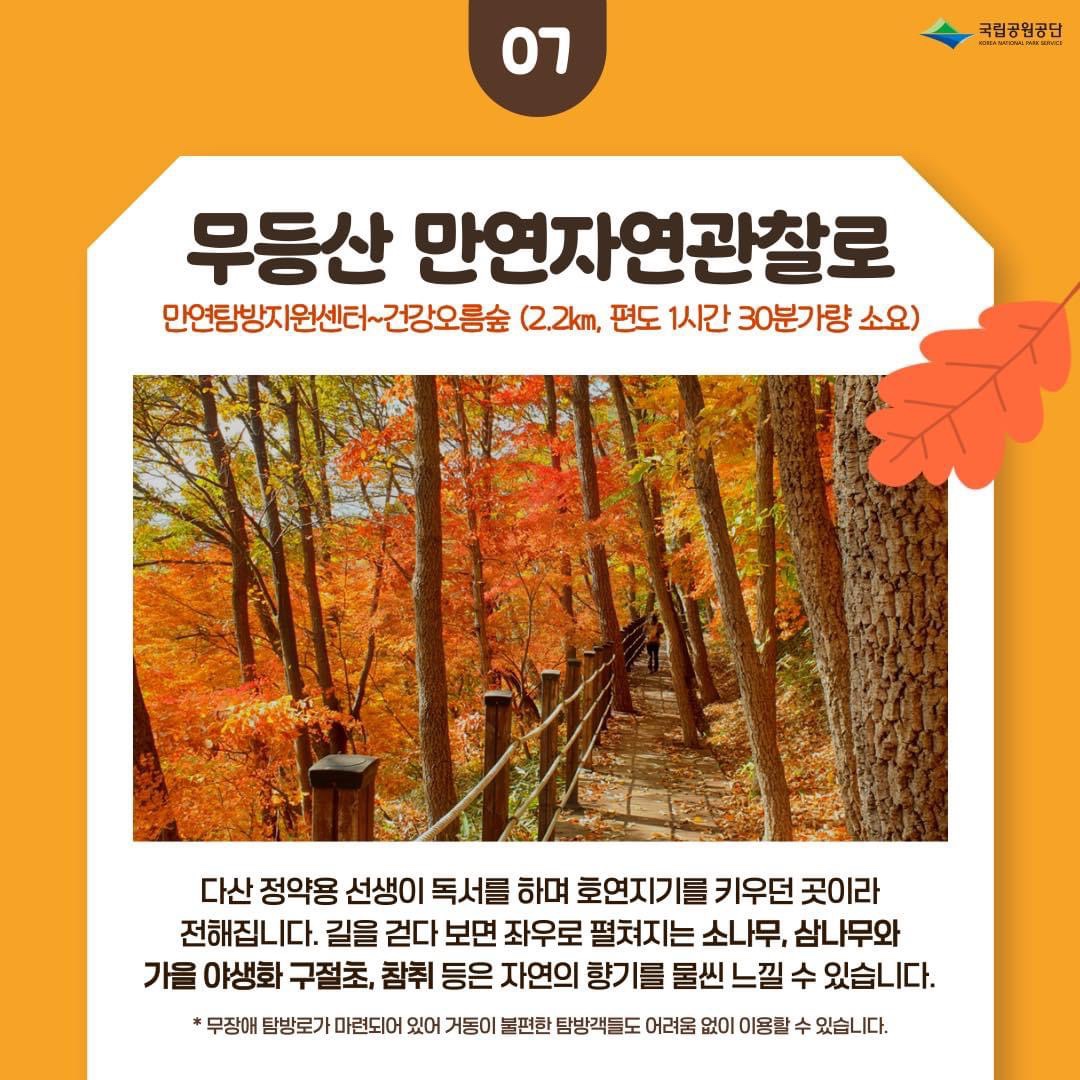 가을단풍