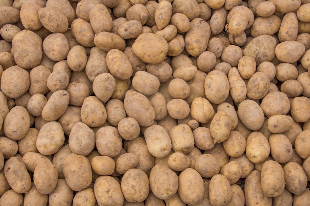 Potato benefits.