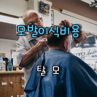 이발