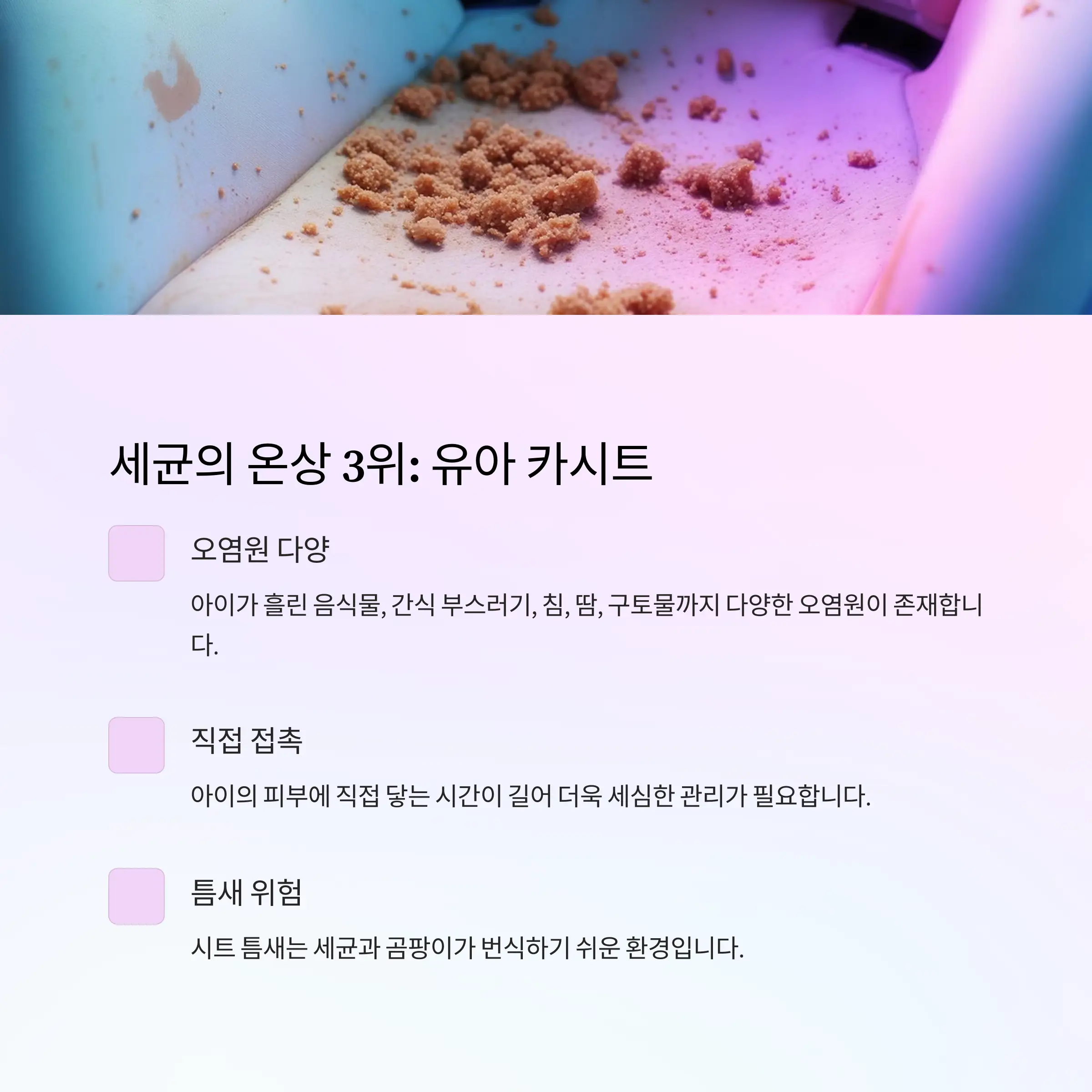 차내부청소관리 정보