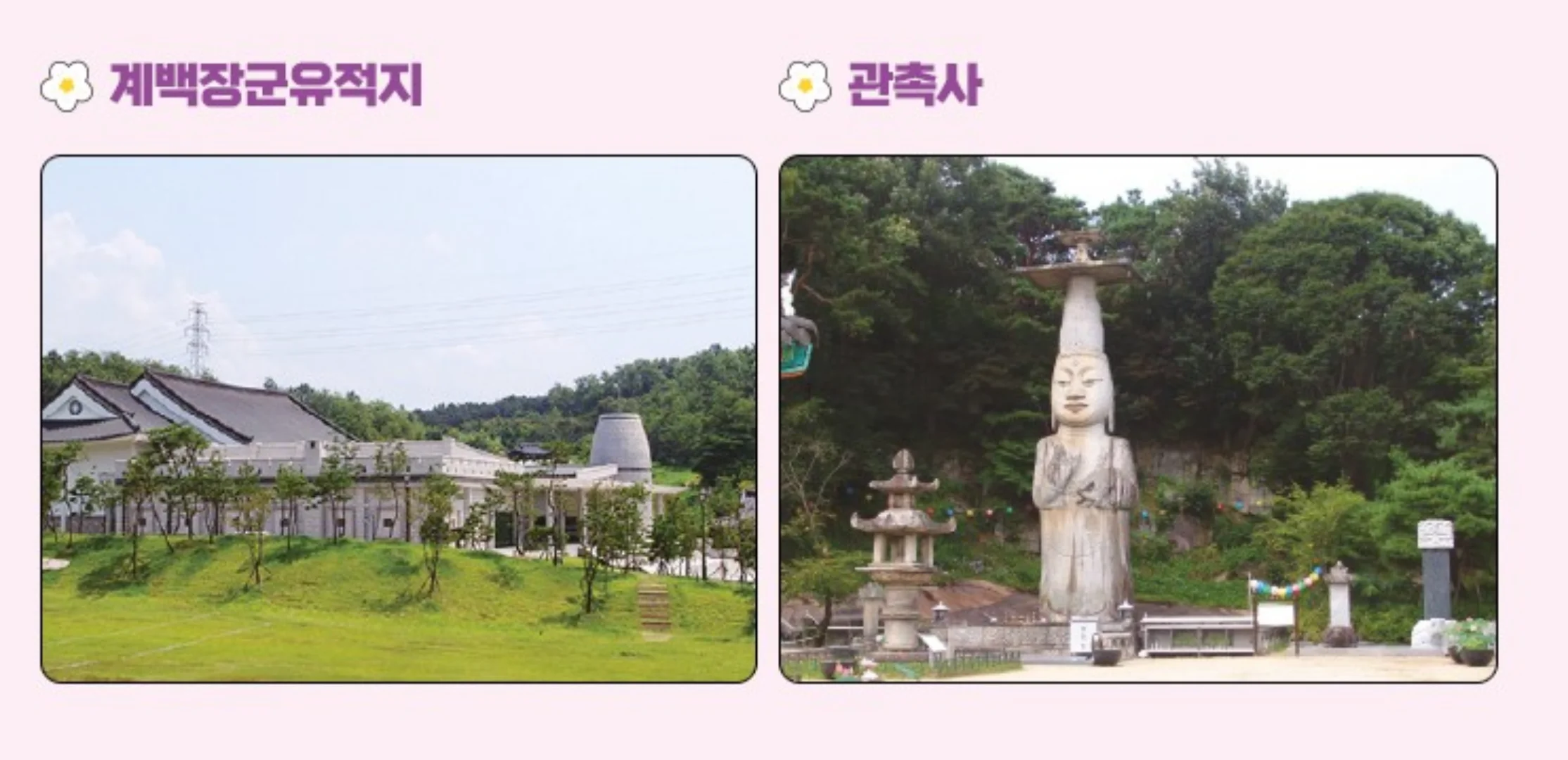 논산 딸기축제 2025