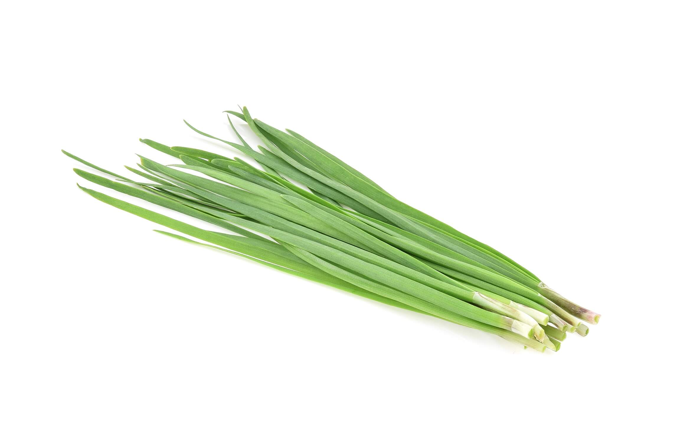 흰머리의 원인과 이유부터 흰머리에 좋은 5가지 음식 - 흰머리 관리의 모든 것