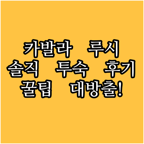 카발라 '루시 호텔' 완벽 분석! 실