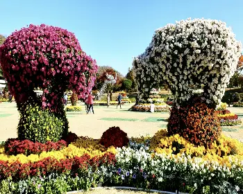 청남대 홈페이지 예약 접수_26