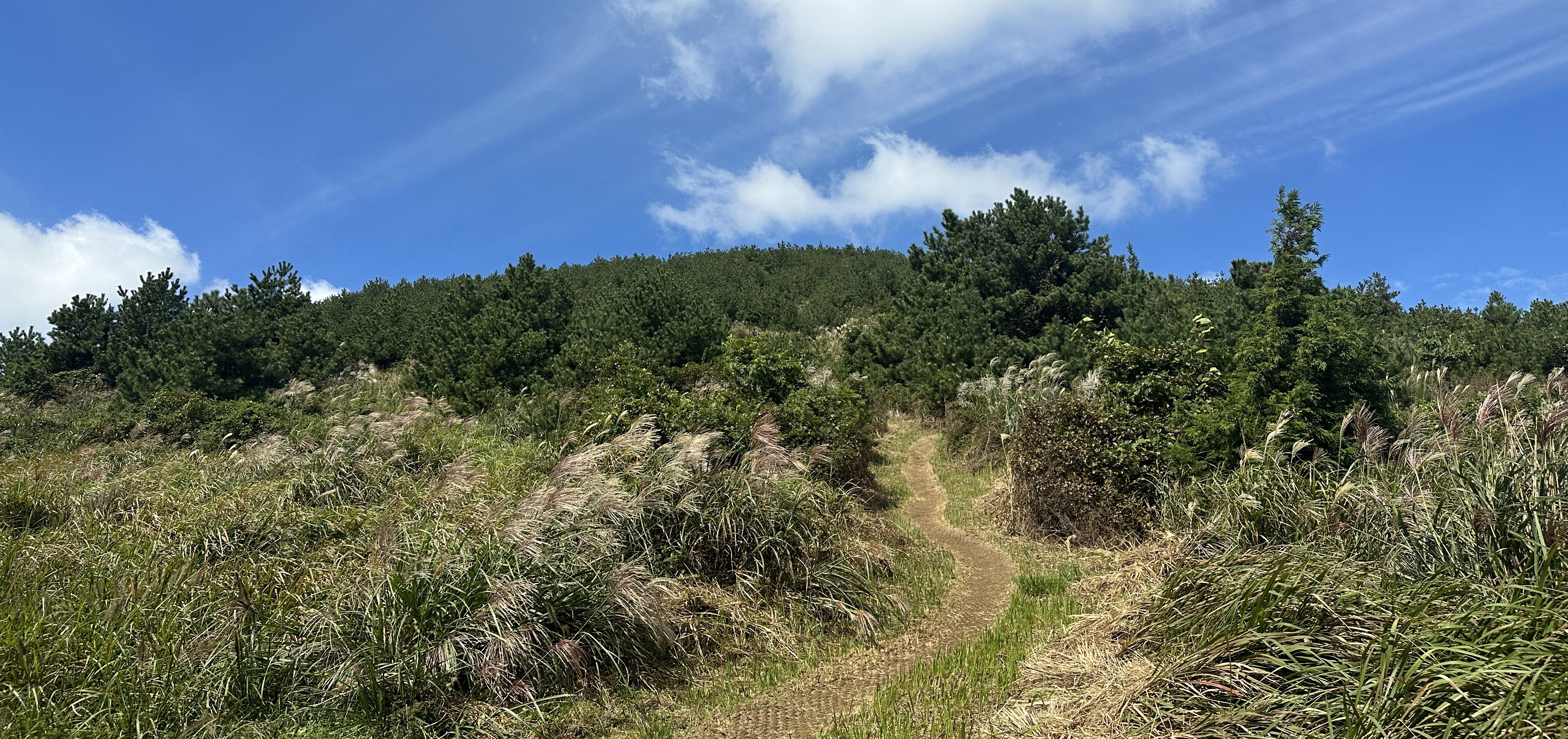 안돌오름 탐방로