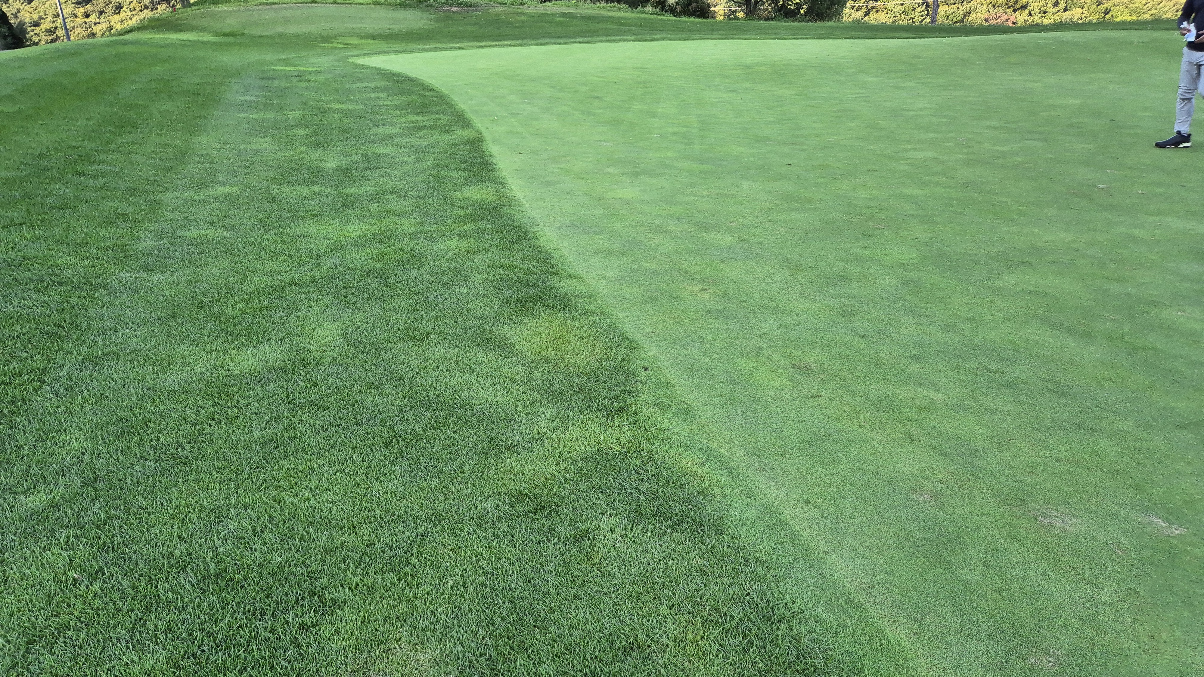 마론cc 라운드 후기