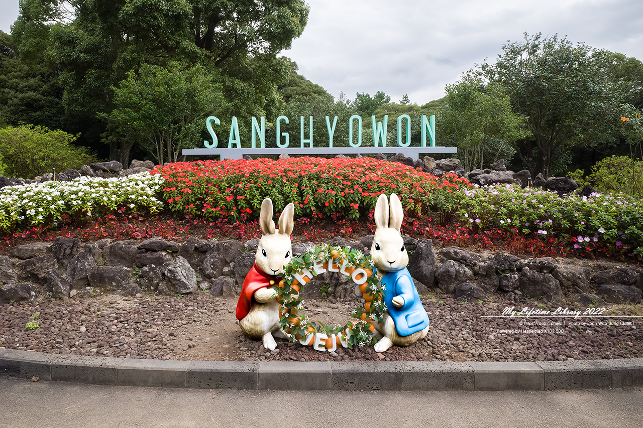 #제주 #상효원 #대나무 #숲 #2022제주여행