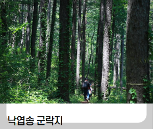 동해 가볼만한곳