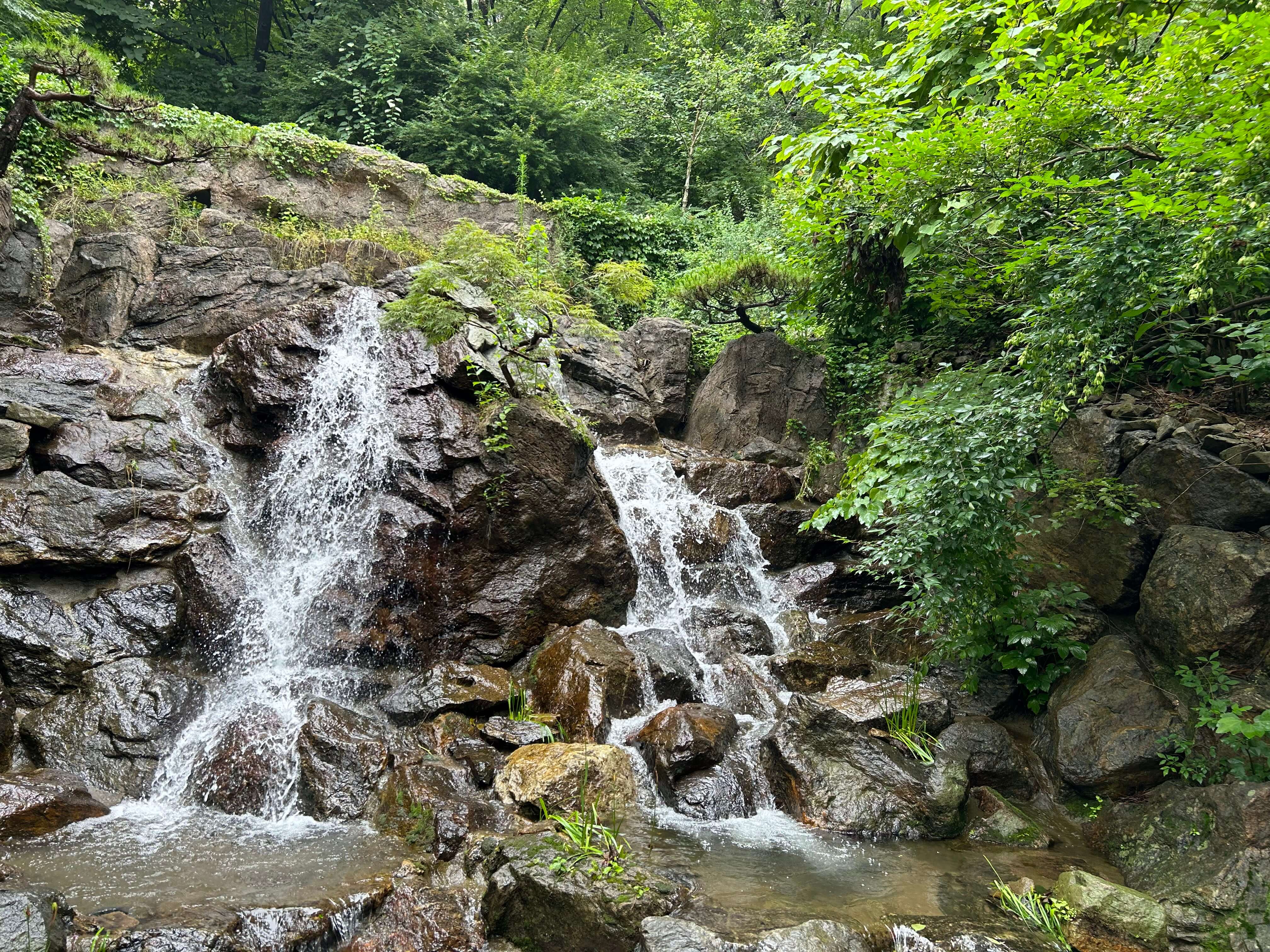 [2025년 최신 Q&amp;A 정리] 화담숲 예약&amp;#44; 이것만 보면 끝! 모노레일 할인혜택 관련사진