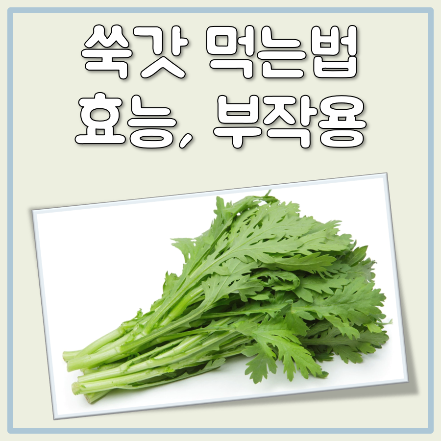 쑥갓 효능 부작용 먹는법
