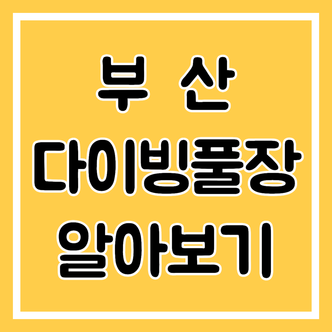 부산 다이빙풀장 알아보기