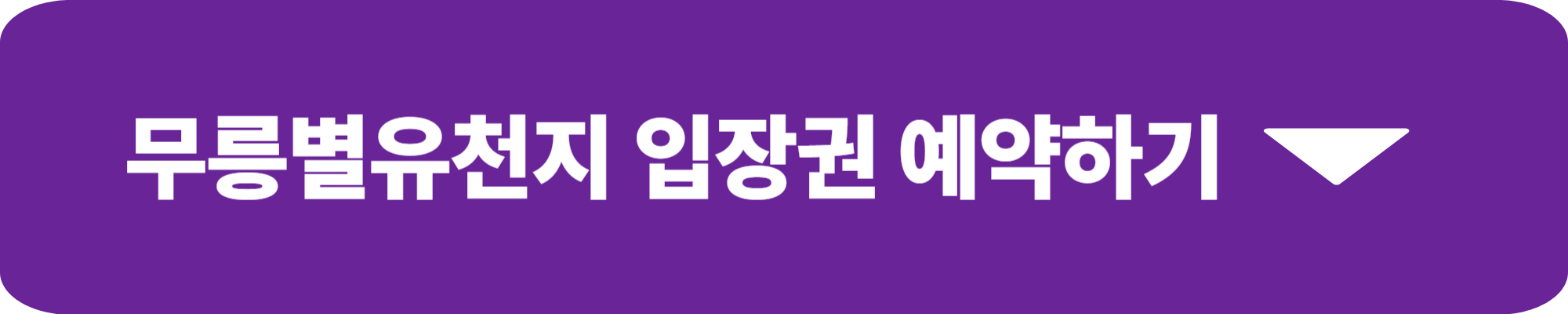 무릉별유천지 라벤더 축제