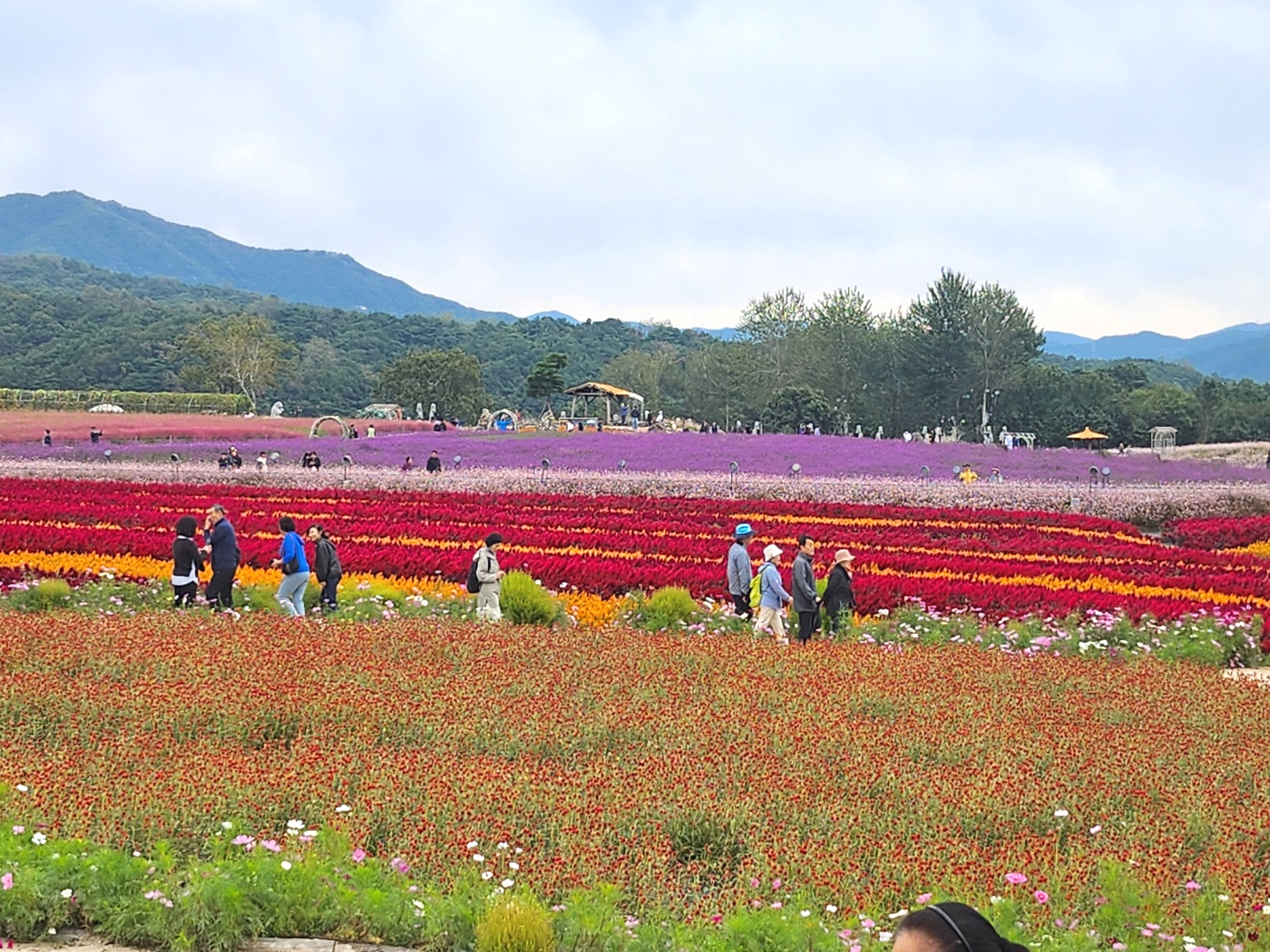 철원가볼만한곳