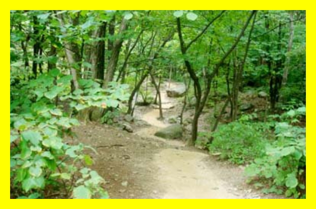  자연휴양림 할인정보&amp;#44; 국립자연휴양림 가격비교&amp;#44; 자연휴양림 여름성수기&amp;#44; 휴가철 국립휴양림&amp;#44; 국립자연휴양림 지도&amp;#44; 자연휴양림 위치검색