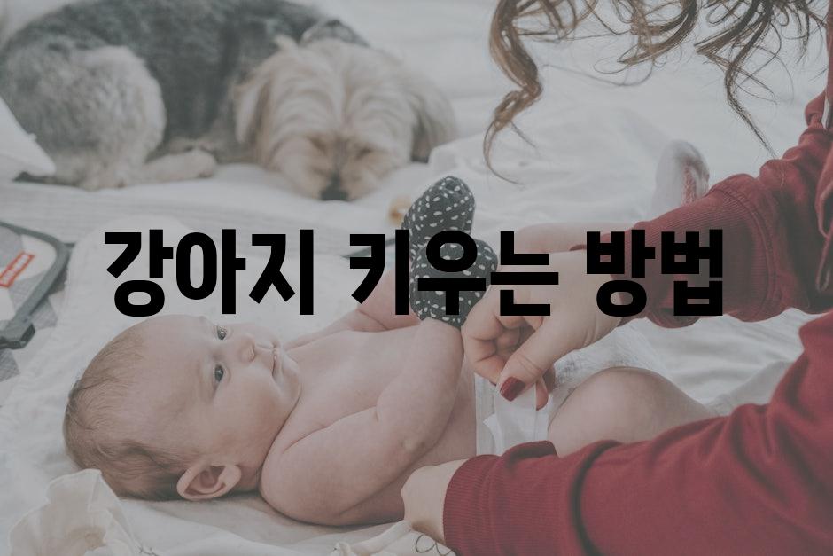 Dog care 4