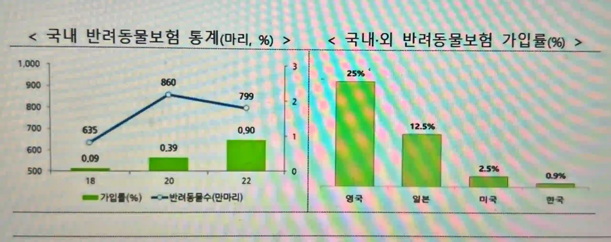 국내외 반려동물 보험 통계 비교 사진 입니다.
