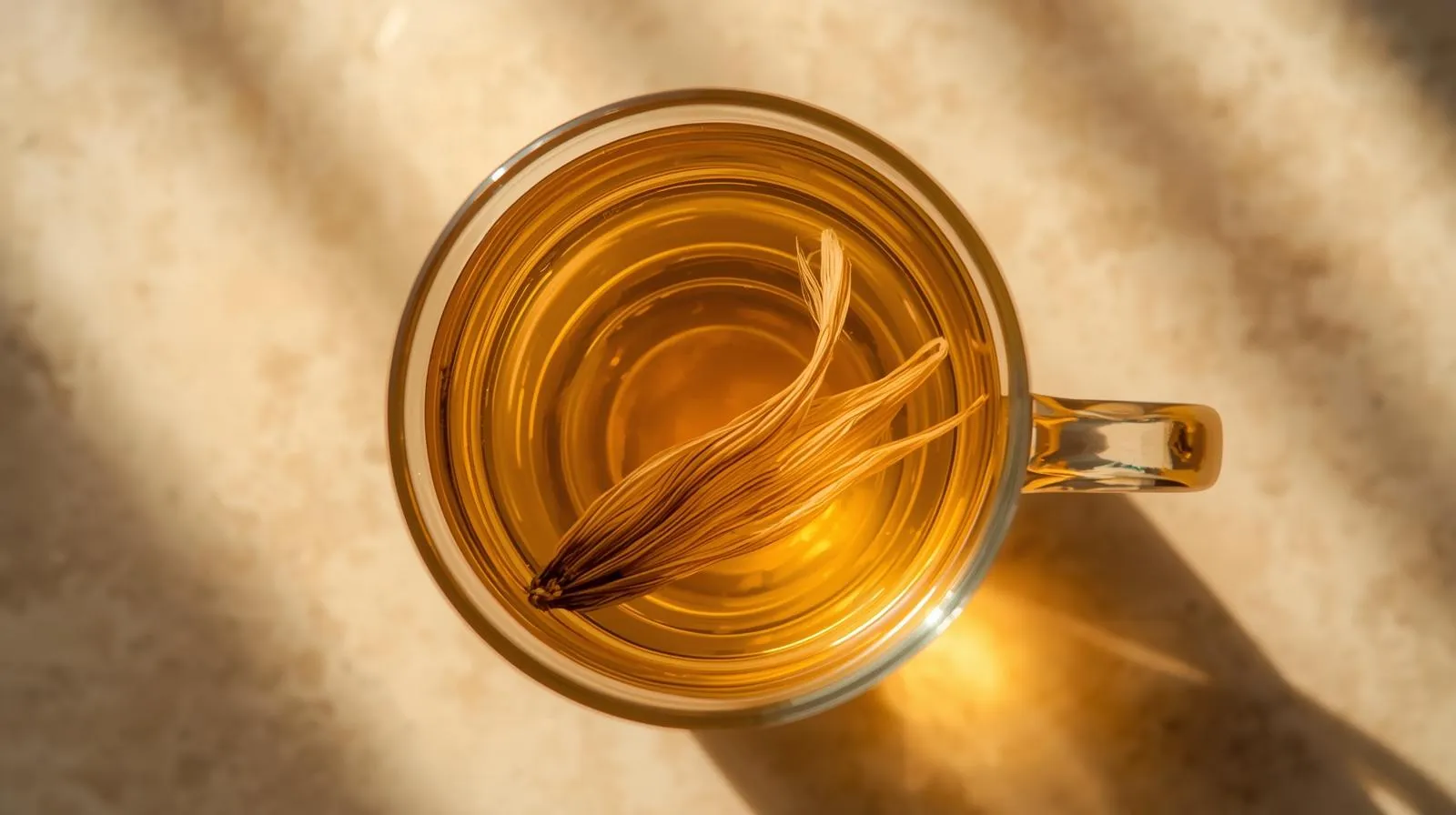 옥수수수염차 체내 수분 조절 효능