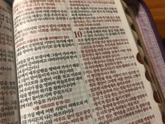 매일성경묵상과 사명(누가복음 10장 1-24절) 칠십 인의 제자를 파송하신 예수님_20