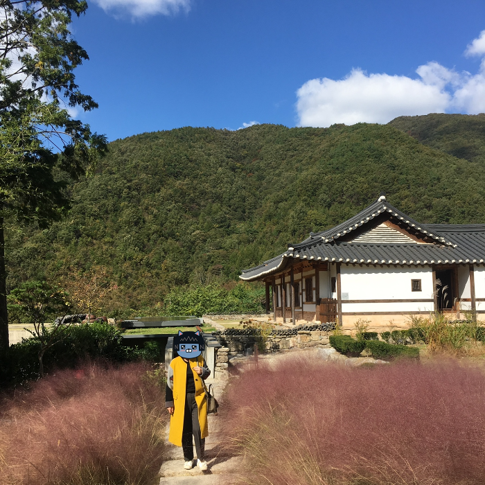 아원고택 뒷마당 3