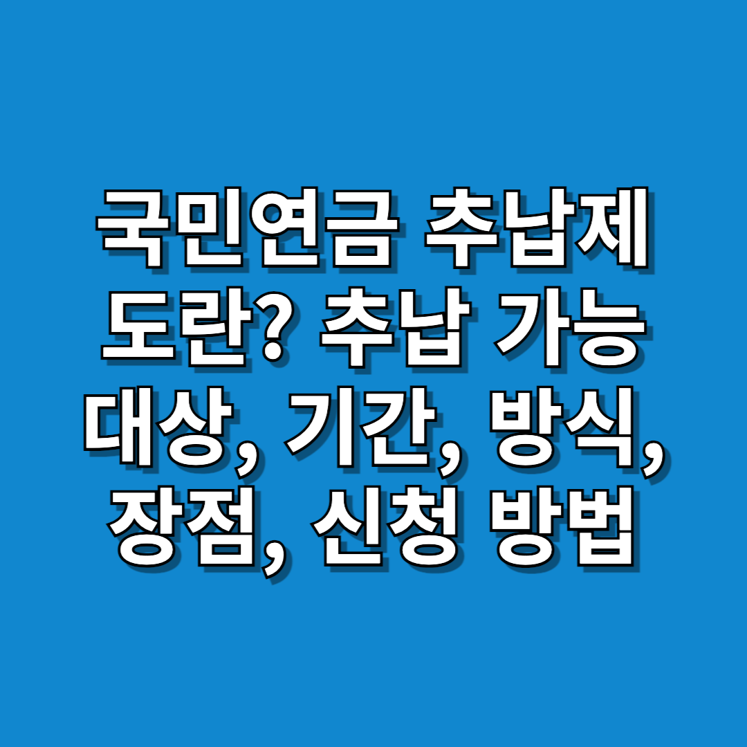 국민연금-추납