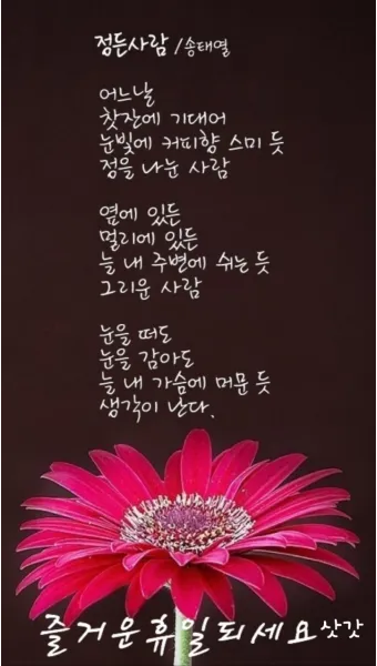 명언 글귀 글모음 좋은 글_13