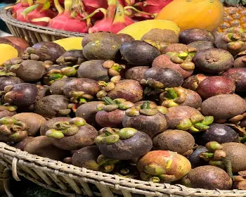 팽봉팽봉 촬영지&#44; 태국 코사무이 여행_16