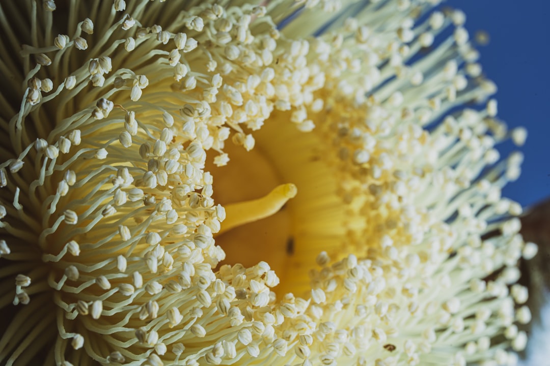 Digestive enzyme.